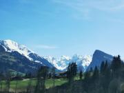 Top Diemtigen