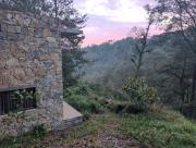 Top Huauchinango