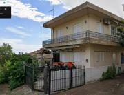 Ladis Place