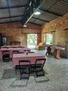 Top Araucária
