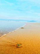 Top Sanya Top Sanya
