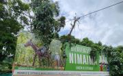 Top Nimaima