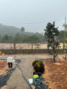 Top Koh Rong