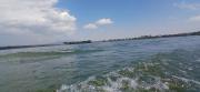 Top Lotus Island