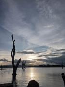 Top Lotus Island
