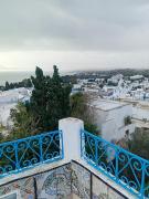 Top Sidi Bou Said