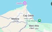 Cap zebib