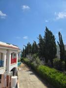 Top Meneou