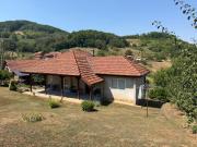Top Arilje