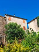 Top Carrodano Inferiore