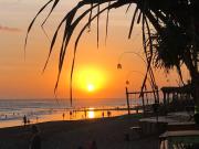 PARADISE homestay