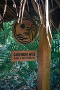 Top Bocas del Toro