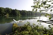 Top Bad Zurzach
