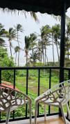 Top Alibaug