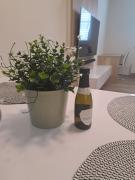 Top Olomouc