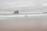 Top Pacific City