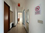 Top Vercelli