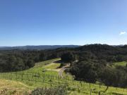 Top Paso Robles