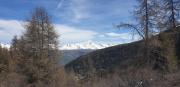 Top Mâcot La Plagne