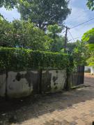 Top Alleppey