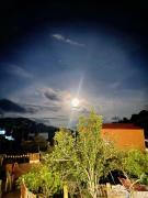 Top Bac Ha