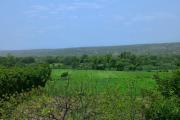 Top Faridabad