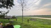 Top Sauraha
