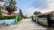 Top Sauraha
