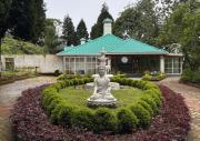 Top Darjeeling