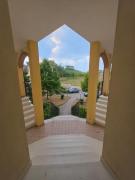 Alex Holiday House
