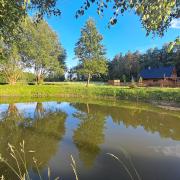 Top Orchowiec