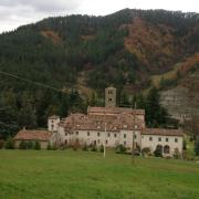 Top Marradi