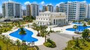Top Paralimni