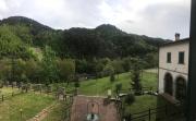 Top Marradi
