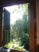 Top Ubud