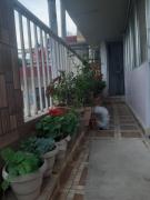 Top Solan