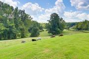 Top Dawsonville