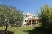 Top Rousset Top Rousset