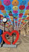Top Baia Mare