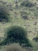 Top Nairobi