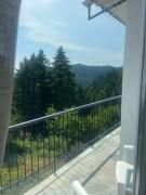 Top Athamanio