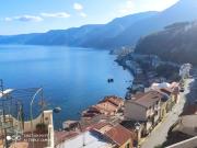 Top Scilla