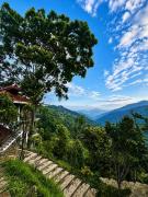 Top Pelling