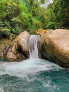 Top Ðại Từ