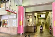 花渓居 三叶 晴岚