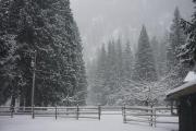 Top Pemberton Top Pemberton