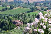 Top Montaione