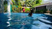 Top Puducherry