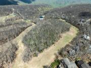 Top Wintergreen Top Wintergreen