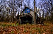 Top Wintergreen